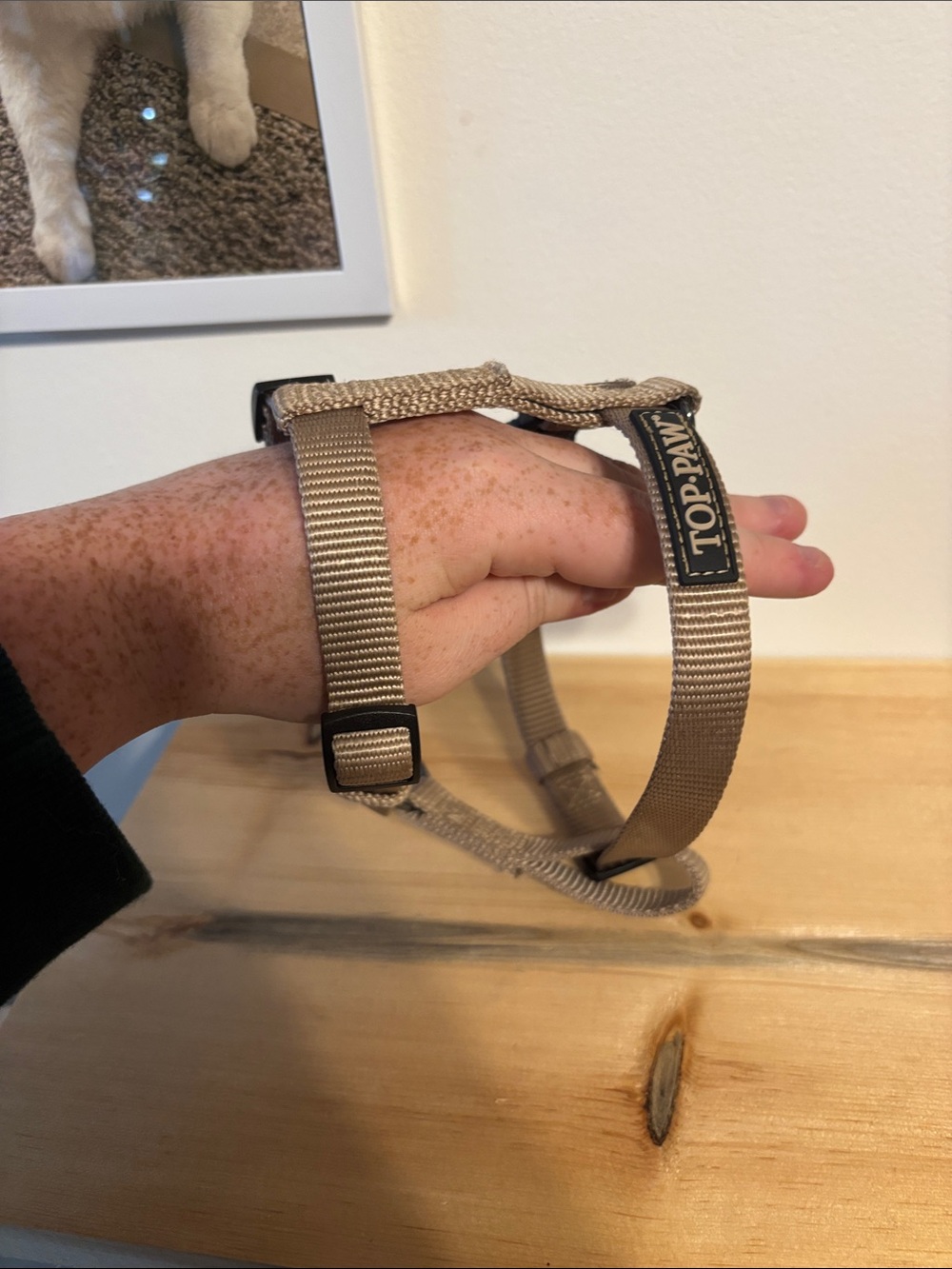 Top Paw Tan Dog Harness - Adjustable, Lightweight